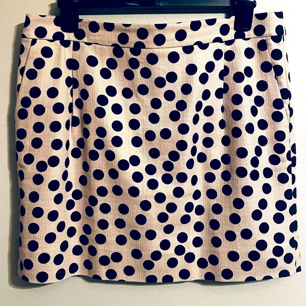 J Crew | Polka Dot Mini Skirt | Size 10